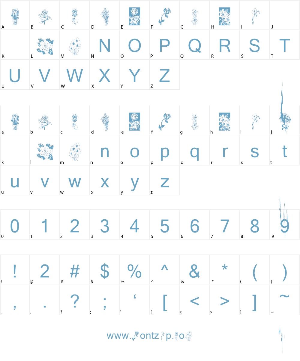 KR Beautiful Flowers Font Character